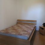 Miete 1 Schlafzimmer wohnung von 51 m² in Brunn am Gebirge