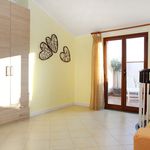 Rent 2 bedroom house of 90 m² in Acireale