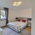Rent 6 bedroom house of 792 m² in Woluwe-Saint-Pierre