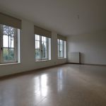 Huur 1 slaapkamer appartement van 148 m² in Hoeselt