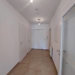 Rent 2 bedroom apartment of 56 m² in Drösing