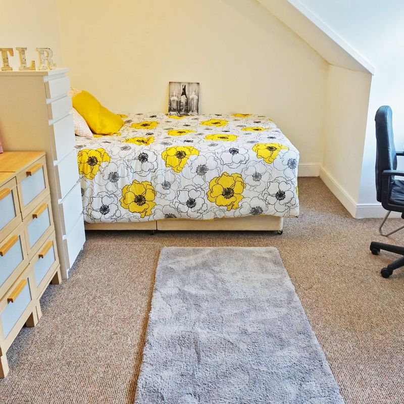 5 bedroom house for rent in Swansea Mount Pleasant