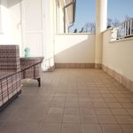 Rent 1 bedroom apartment of 60 m² in Colorno