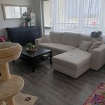 Rent 3 bedroom apartment in Opava