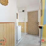 Rent 3 bedroom apartment in Řenče