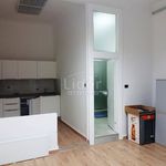 Rent 5 bedroom apartment of 141 m² in Rijeka