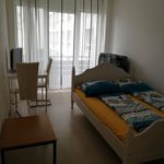 Rent 1 bedroom apartment of 25 m² in Mainz