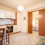 Rent 1 bedroom apartment of 62 m² in Pisa