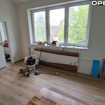 Rent 2 bedroom apartment of 34 m² in Brno