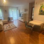 Rent 2 bedroom apartment of 58 m² in Budapest