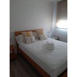 1 dormitorio apartamento de 50 m² en Alicante