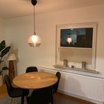 Rent 2 bedroom apartment of 54 m² in Detmold