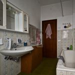 Rent 1 bedroom apartment of 20 m² in Sesto Fiorentino