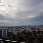 Rent 1 bedroom apartment of 60 m² in Brno