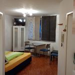 Miete 1 Schlafzimmer wohnung von 32 m² in Salzburg