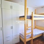 Rent 1 bedroom apartment of 21 m² in Pilsen