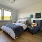 Rent 2 bedroom apartment of 50 m² in Essen