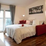 Rent 1 bedroom apartment of 30 m² in Sesto San Giovanni