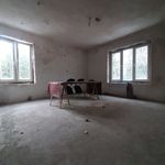 Rent 1 bedroom house of 500 m² in Warszawa