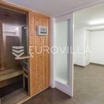Rent 4 bedroom house of 350 m² in Zagreb