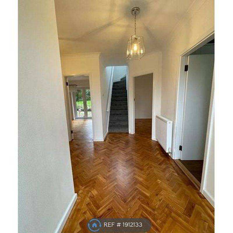 Detached house to rent in Epping Road, Roydon, Essex CM19 Halls Green