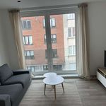 Rent 1 bedroom apartment of 40 m² in Etterbeek