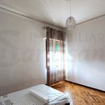 Rent 3 bedroom apartment of 119 m² in Firenze