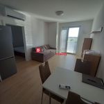 Rent 2 bedroom apartment of 45 m² in Číhošť