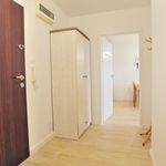 Rent 3 bedroom apartment of 51 m² in Szczecin
