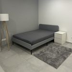 Miete 6 Schlafzimmer wohnung von 120 m² in Karlsruhe