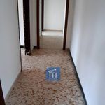 Rent 2 bedroom apartment of 100 m² in Aversa