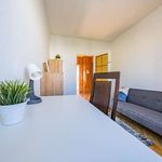 Rent a room of 58 m² in gdansk
