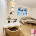 Rent 2 bedroom apartment of 32 m² in Nuremberg