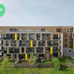 Rent 3 bedroom apartment of 80 m² in Pilsen