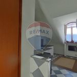 Rent 1 bedroom apartment of 19 m² in Torino