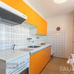 Rent 1 bedroom apartment of 44 m² in Plzeň