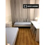 Rent 10 bedroom apartment in Warsaw