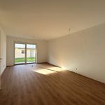 Rent 3 bedroom apartment of 59 m² in Riegersburg