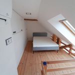 Rent 4 bedroom apartment of 135 m² in Ostrava