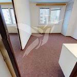Rent 2 bedroom apartment of 36 m² in Plzeň