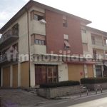 Rent 5 bedroom apartment of 137 m² in Arezzo