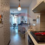 Rent 5 bedroom house of 122 m² in Camaiore