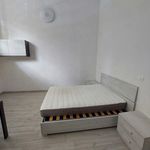 Affitto 1 camera appartamento di 34 m² in Bologna