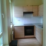Rent 1 bedroom apartment of 28 m² in Sarreguemines