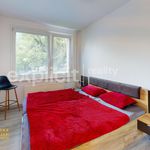 Rent 4 bedroom apartment in Zlín
