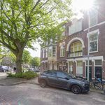 Rent 1 bedroom apartment in Den Haag