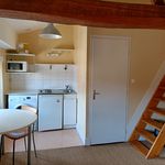 Rent 1 bedroom apartment of 21 m² in GRENADE