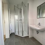 Rent 1 bedroom apartment of 50 m² in Kiel