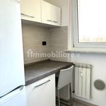 Rent 2 bedroom apartment of 73 m² in Segrate