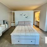 Rent 1 bedroom apartment of 40 m² in Trieste